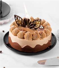 Cappuccino cake